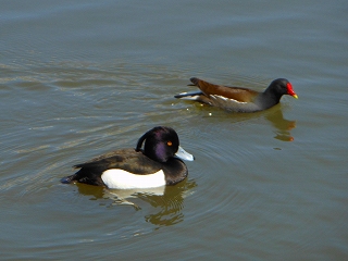 e0121589_20403379.jpg