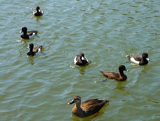 e0121589_20411249.jpg