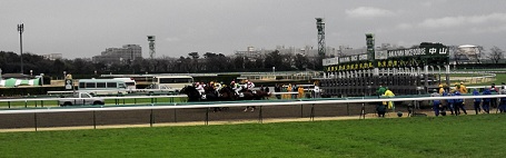 f0069890_1414143.jpg