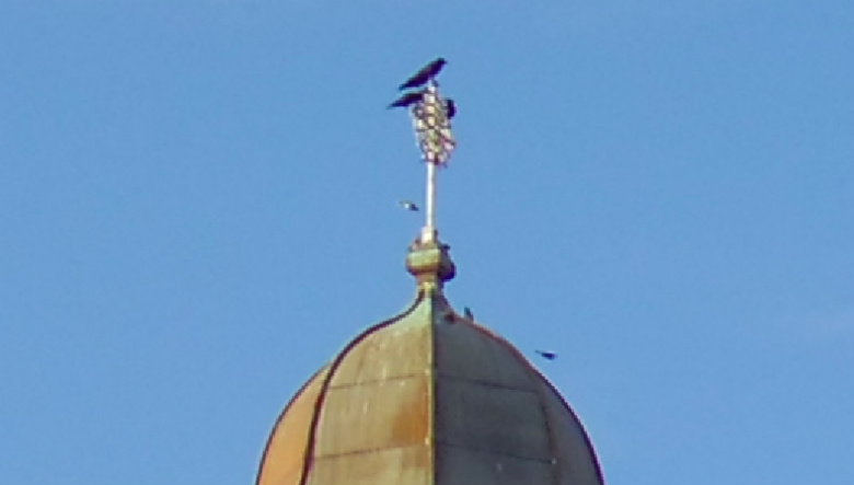 b0042293_1111816.jpg