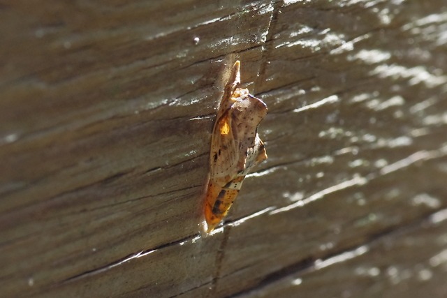 b0194593_213747100.jpg