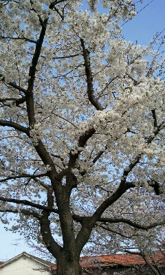 b0208895_2117477.jpg