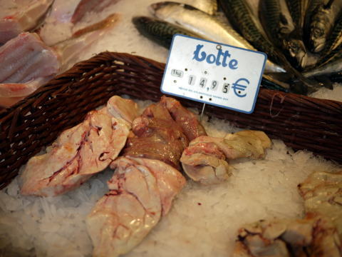 c0090198_3322615.jpg