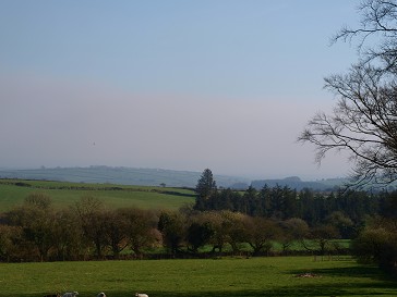 b0110999_3241836.jpg