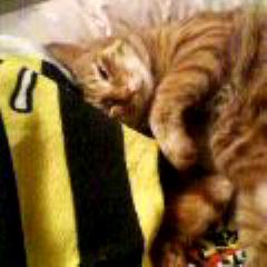 d0071099_1103637.jpg