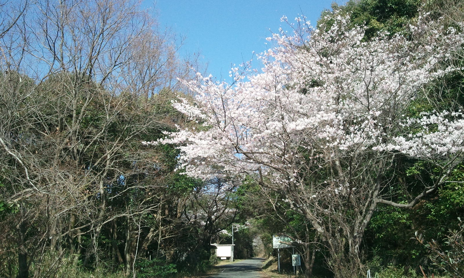 e0216602_0434037.jpg
