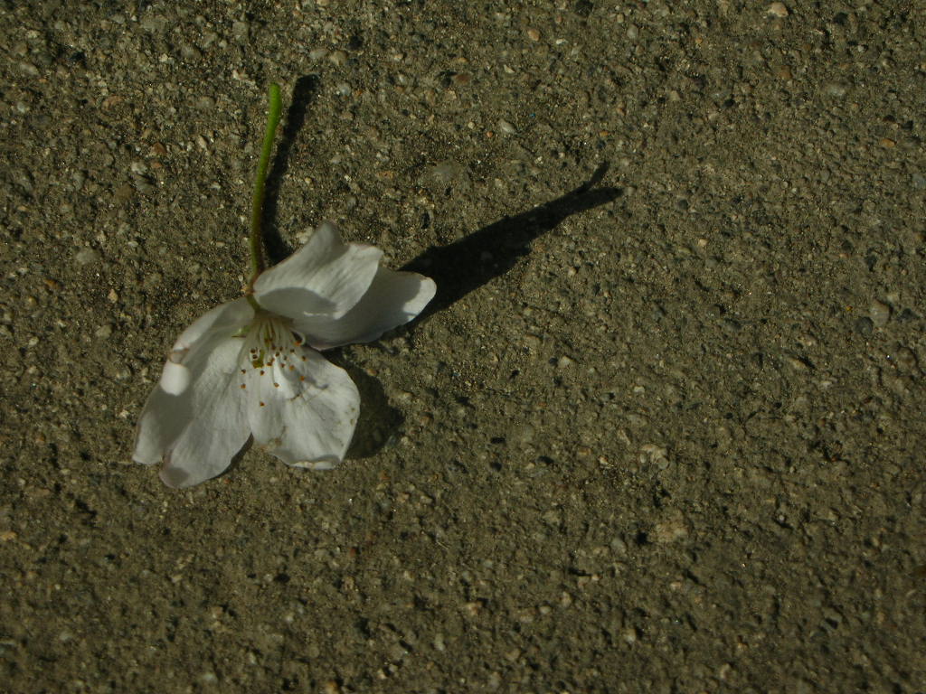 f0146802_22153453.jpg