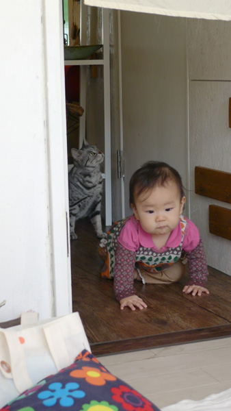 c0149404_07122.jpg