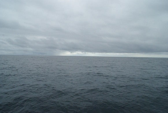 f0038904_3171594.jpg