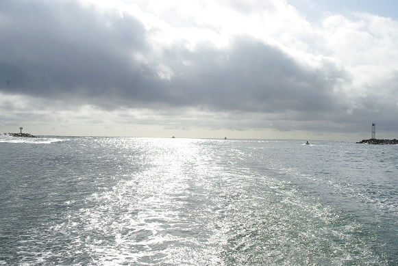 f0038904_3241863.jpg