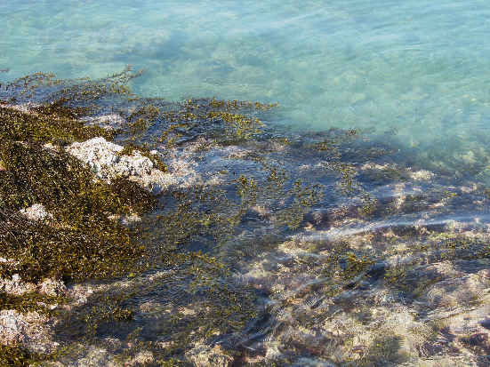 d0154609_1739318.jpg