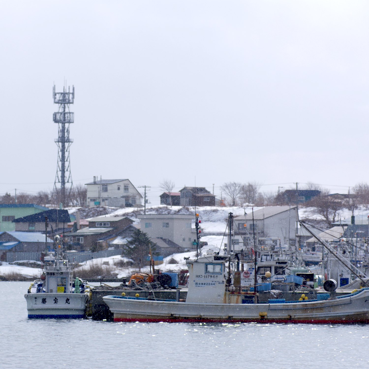 e0142611_104994.jpg