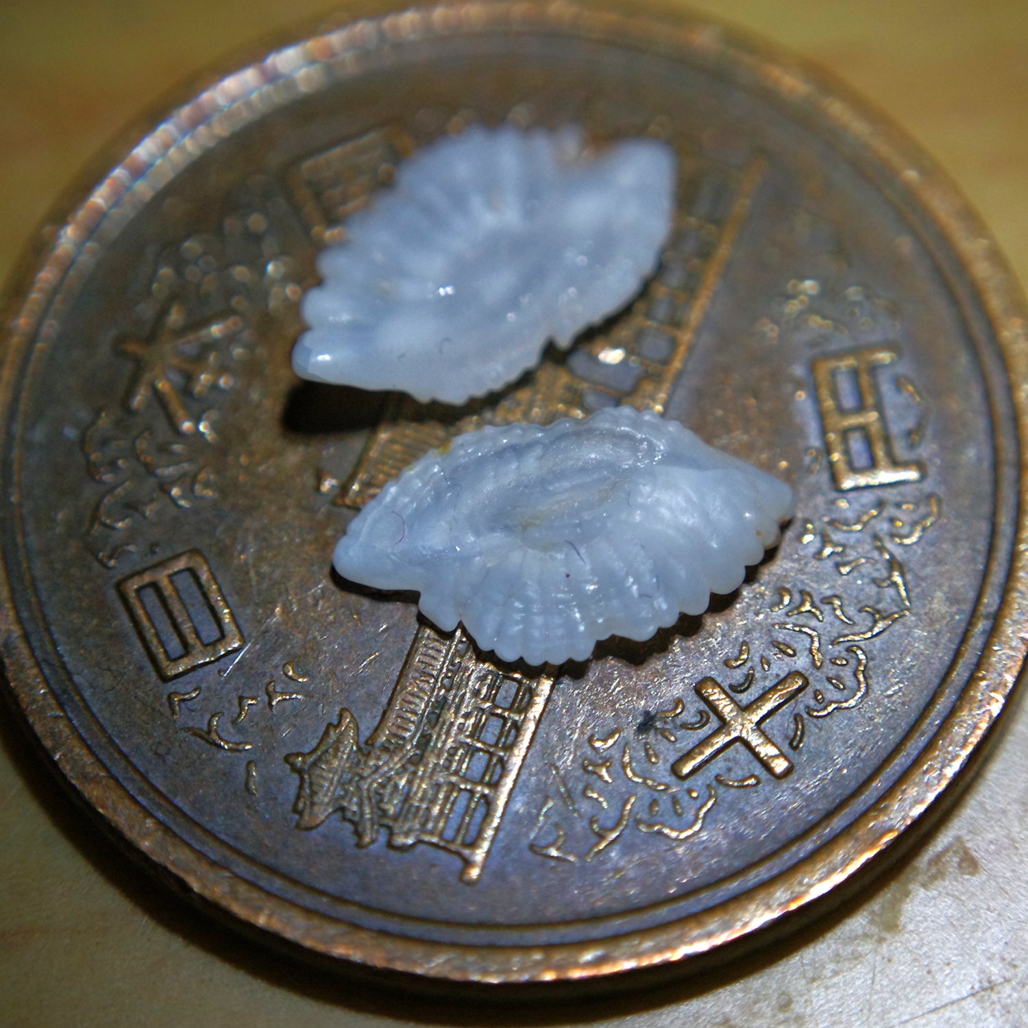 e0142611_21511115.jpg