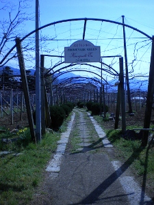 c0229312_1447325.jpg