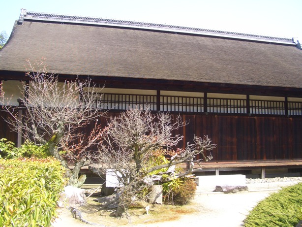 e0033713_18511922.jpg