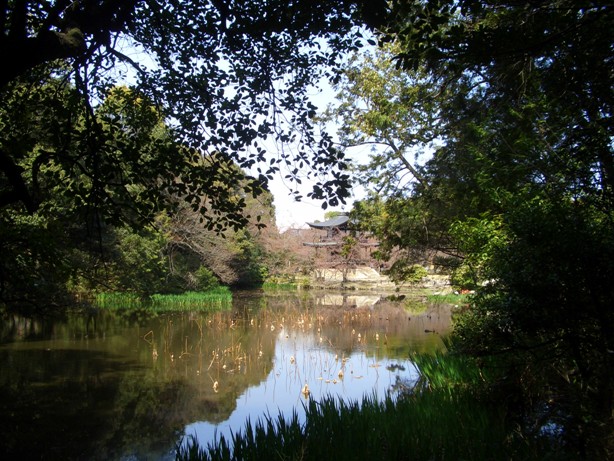 e0033713_1911519.jpg