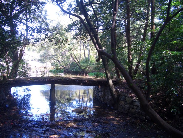 e0033713_19142557.jpg