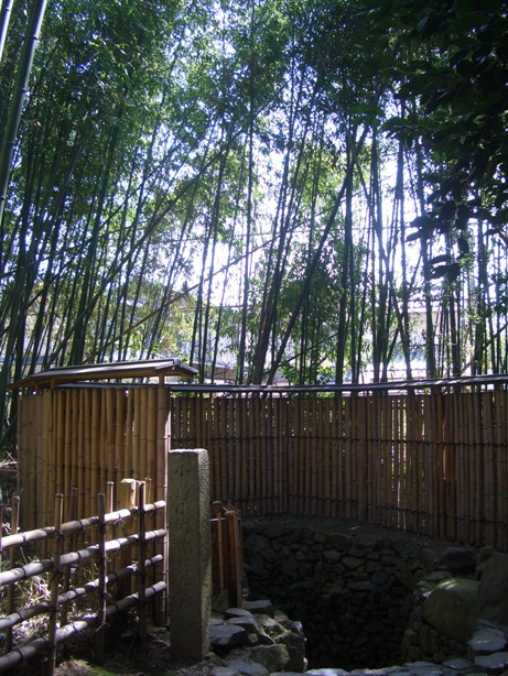 e0033713_19512439.jpg
