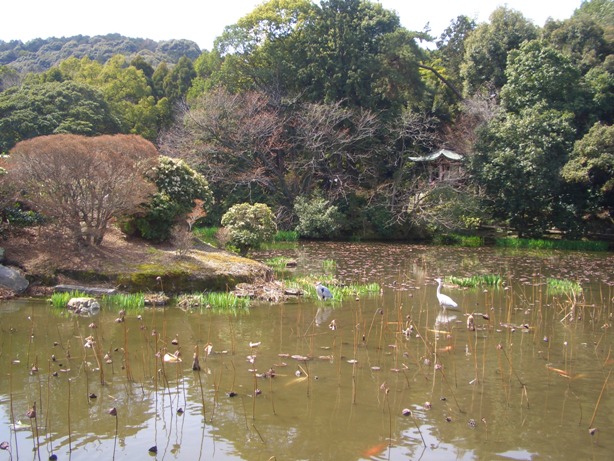 e0033713_1983356.jpg