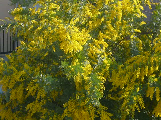 e0026017_15271515.jpg