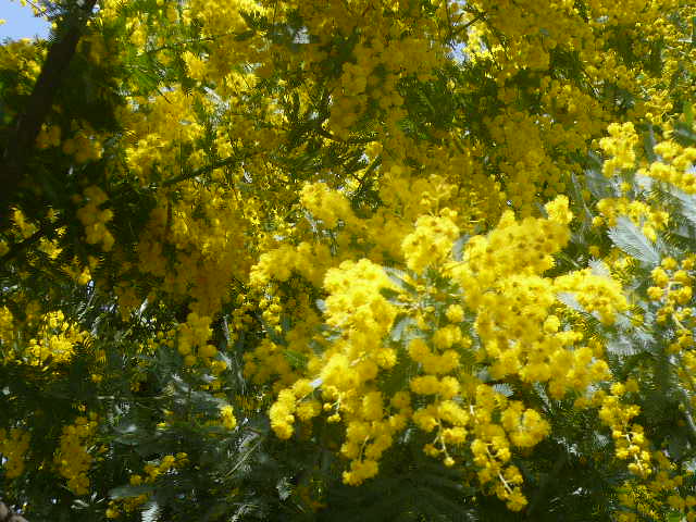 e0026017_15285563.jpg