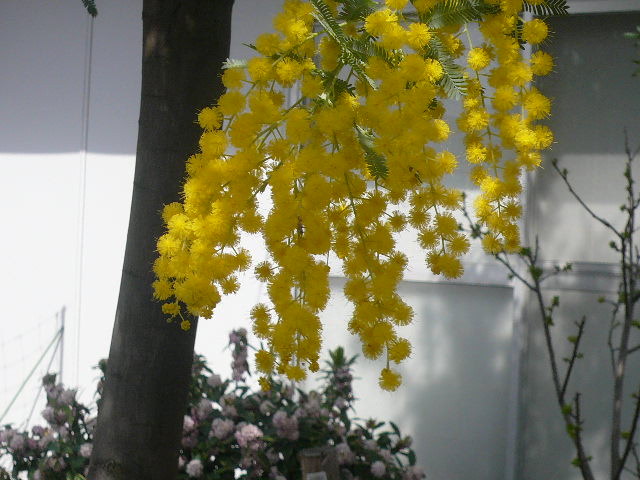 e0026017_15295856.jpg
