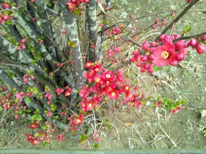 c0150520_021425.jpg