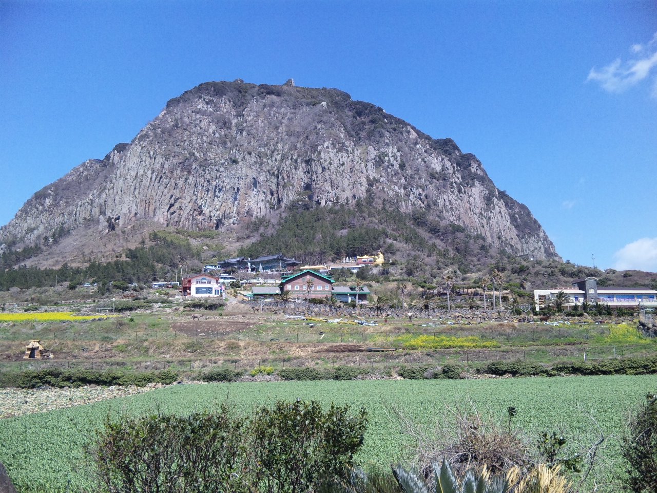 d0010720_9111728.jpg