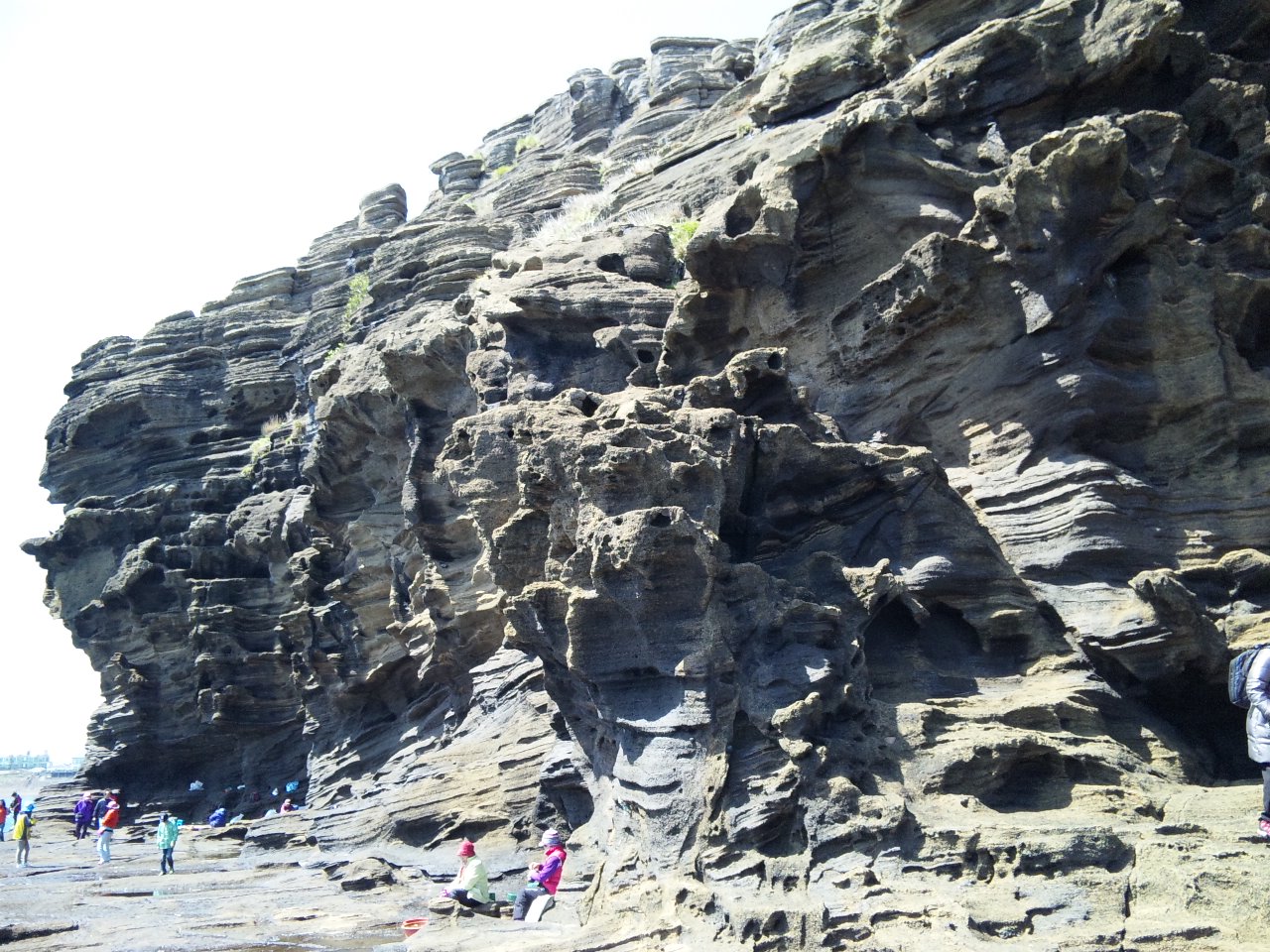 d0010720_9125754.jpg