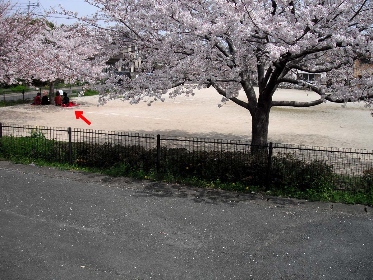 d0032222_22192758.jpg