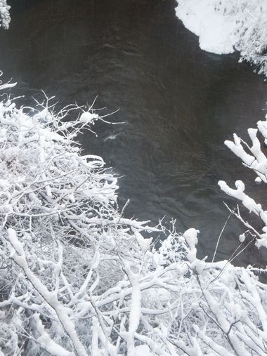 c0152123_11333171.jpg