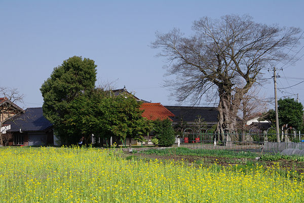 f0007926_11364283.jpg