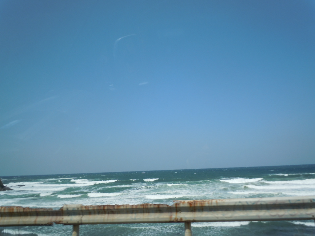 b0157528_165711.jpg