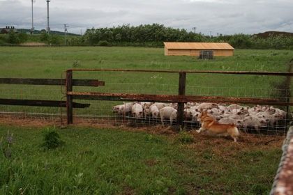 e0077528_11204616.jpg