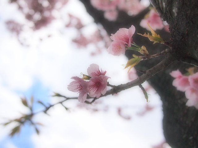 b0134829_14572471.jpg
