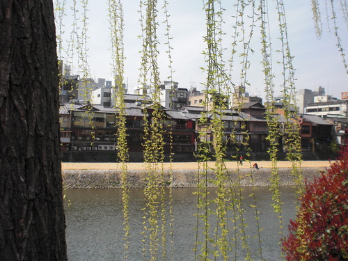 c0199535_23224637.jpg
