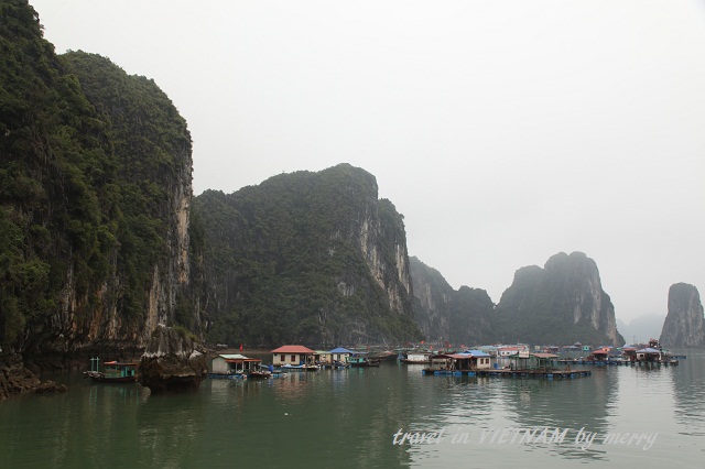 a0207736_2315772.jpg