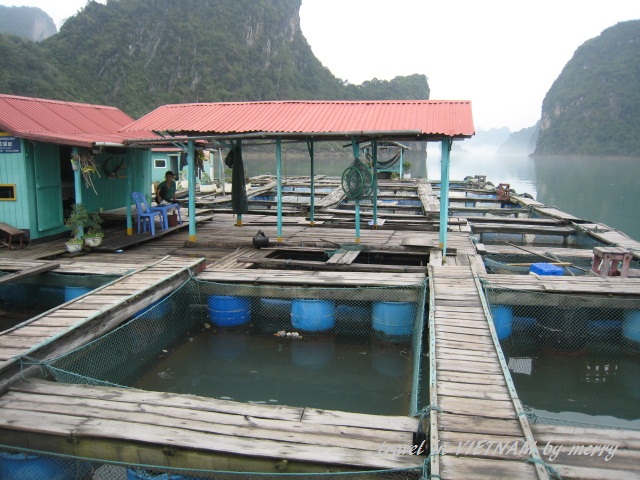 a0207736_232419.jpg