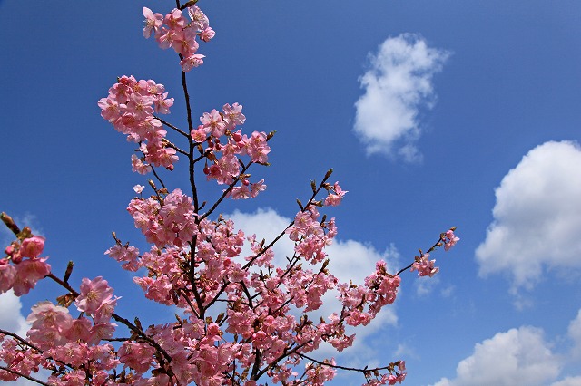 a0242438_21492676.jpg