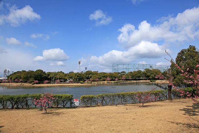 a0242438_21504085.jpg