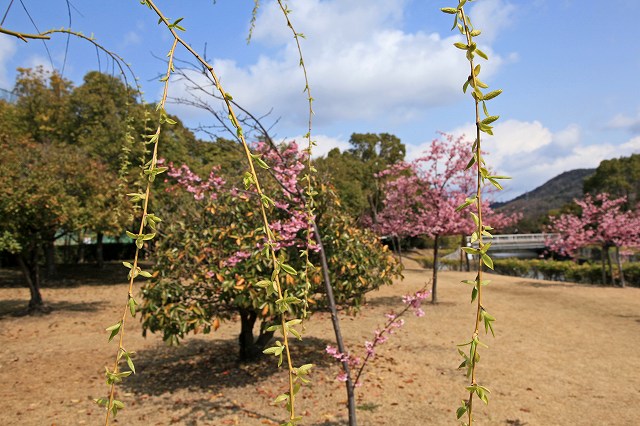 a0242438_2151368.jpg