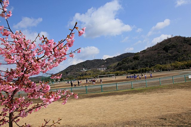 a0242438_21534355.jpg