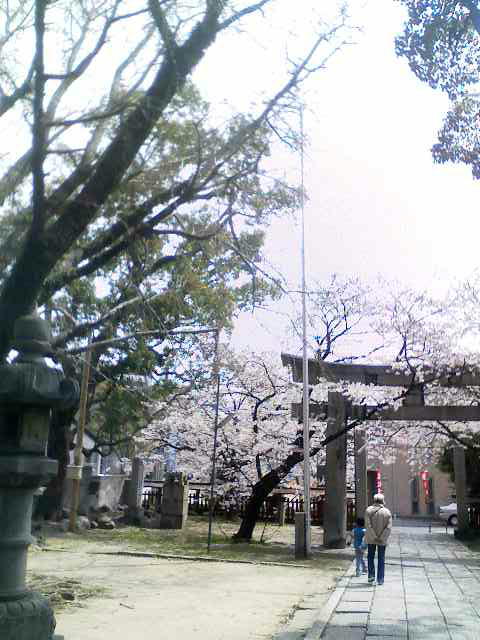 b0240739_21142554.jpg