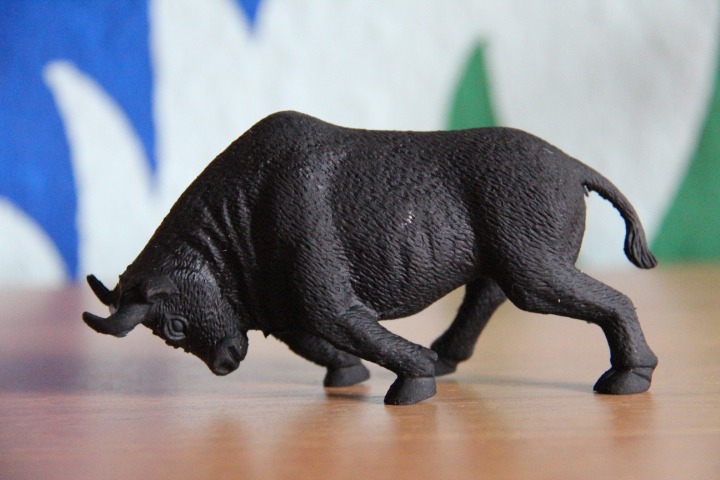 c0153740_23215818.jpg
