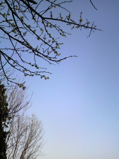 f0073848_2010165.jpg