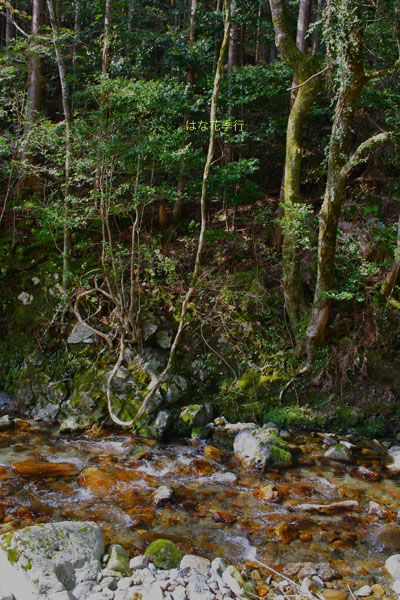 d0036450_19372551.jpg