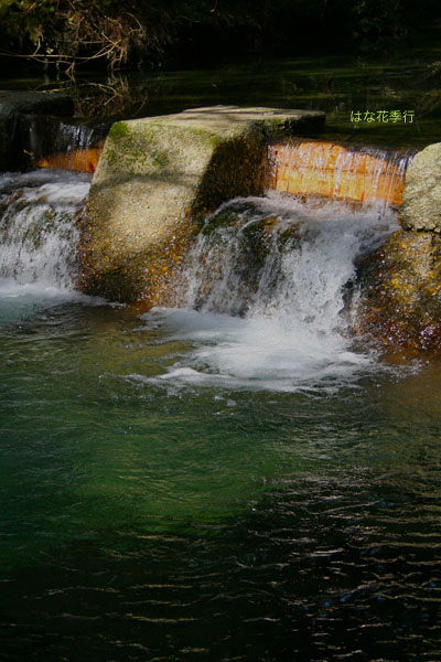 d0036450_19391639.jpg