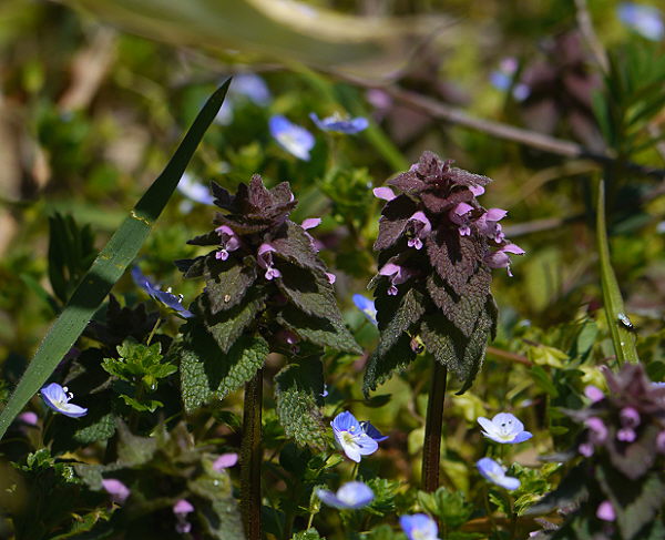 d0091754_1222027.jpg