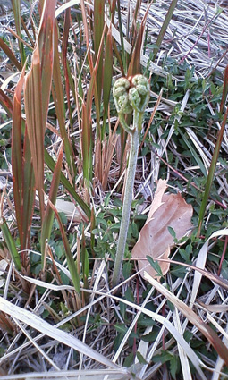 f0212356_11534520.jpg