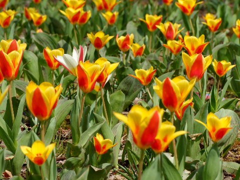 e0088260_2204799.jpg